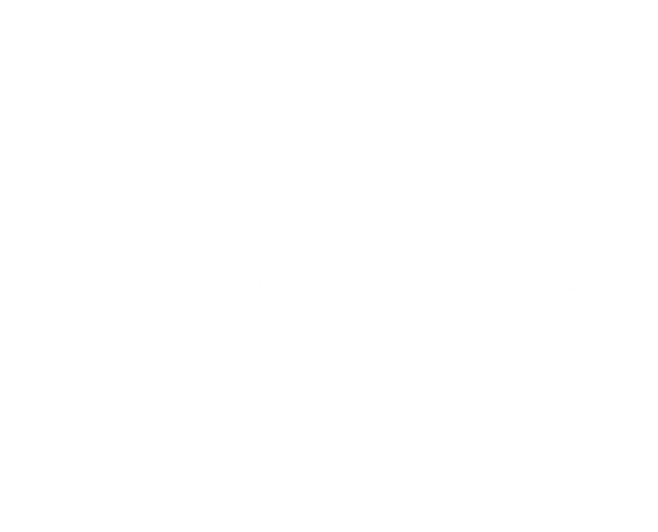 TOY ASABI